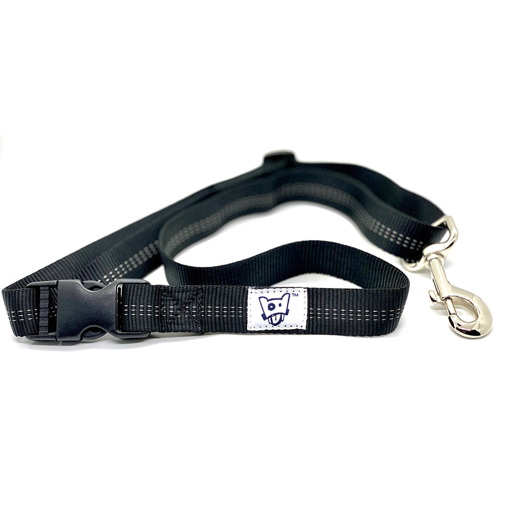 Hands-Free Leash product image 2