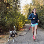 Hands-Free Leash product image 4