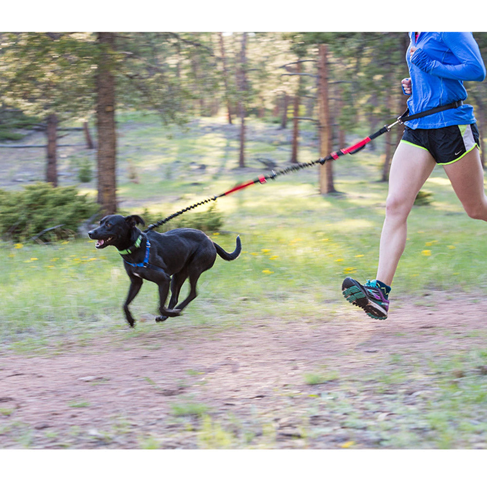 Hands-Free Leash product image 6