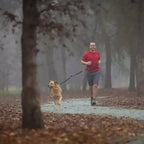 Hands-Free Leash product image 7