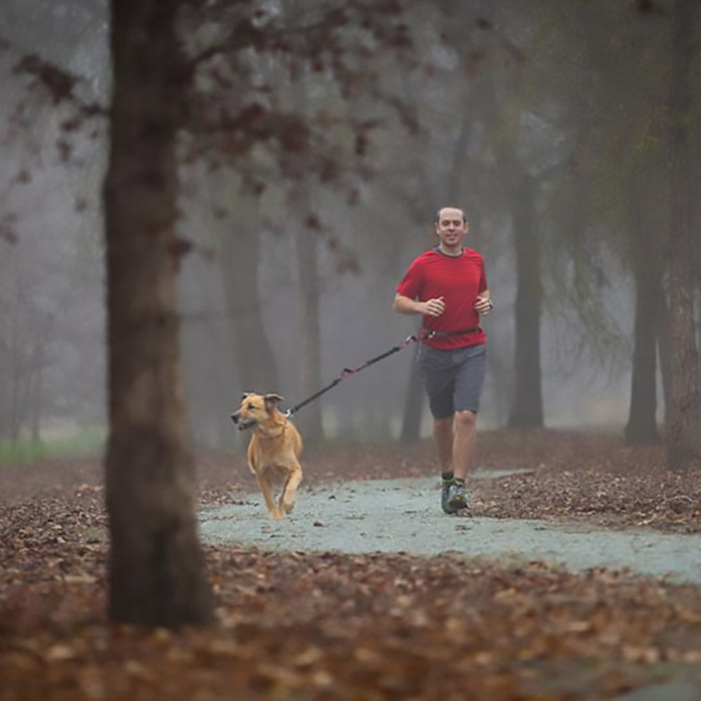 Hands-Free Leash product image 7