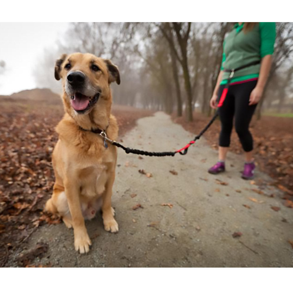 Hands-Free Leash product image 8