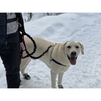 Hands-Free Leash product image 9