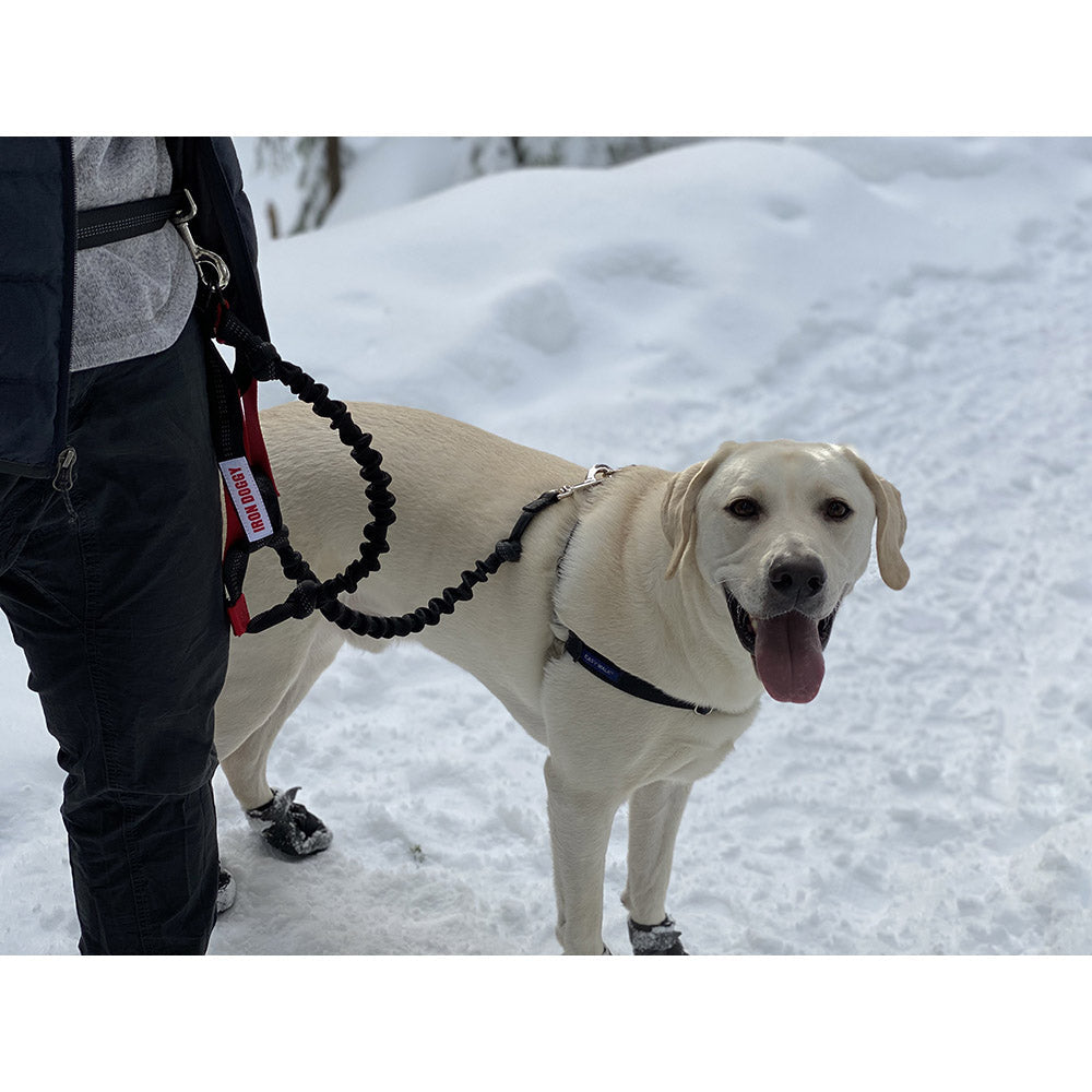 Hands-Free Leash product image 9