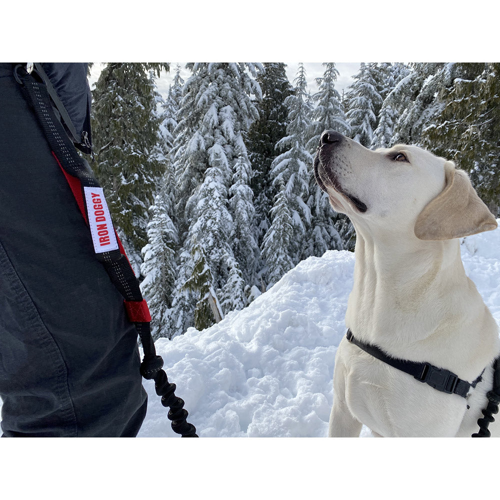 Hands-Free Leash product image 11