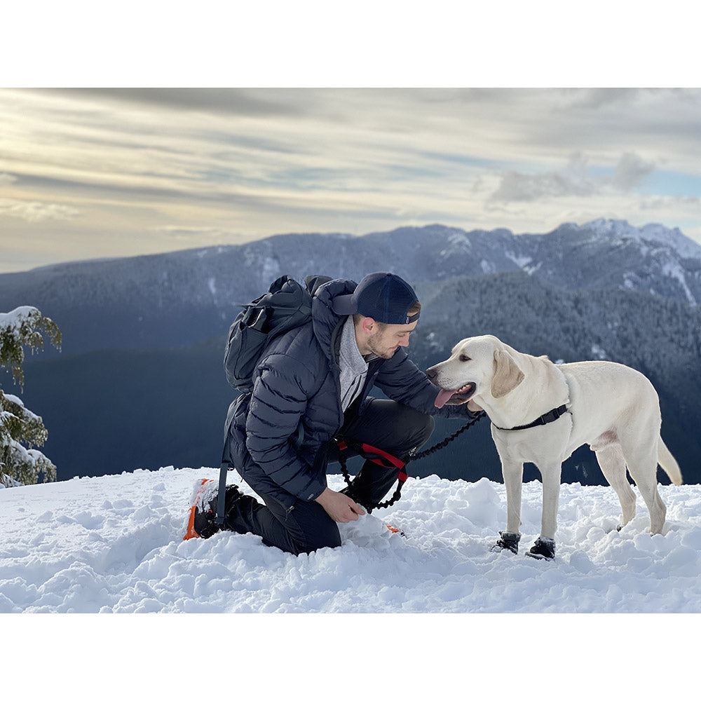 Hands-Free Leash product image 13