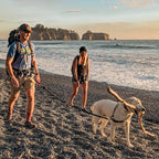Hands-Free Leash product image 14