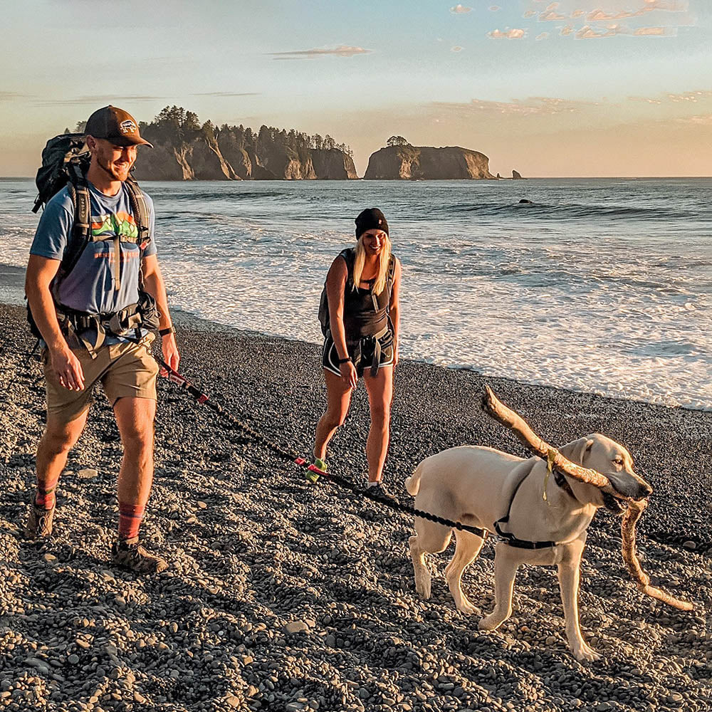 Hands-Free Leash product image 14