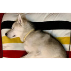 Rolled Italian Leather Dog Collar product image 11