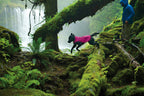 Dog Rain Jacket product image 2