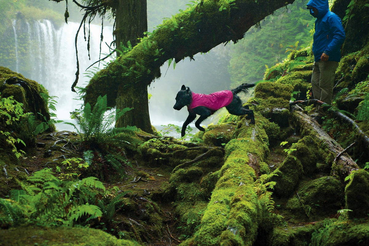 Dog Rain Jacket product image 2