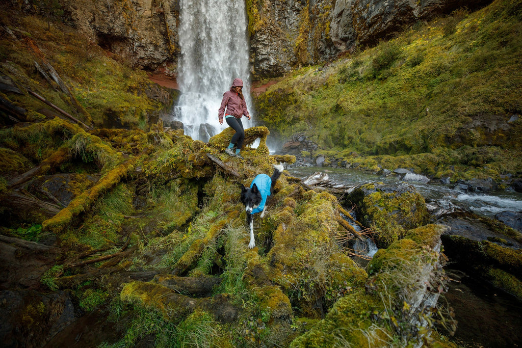 Dog Rain Jacket product image 18