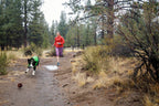 Dog Rain Jacket product image 20