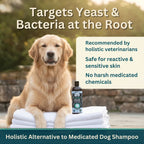 Dog Shampoo product image 4
