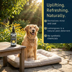 Dog Deodorizing Spray product image 4