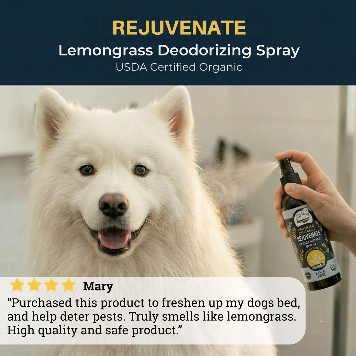 Dog Deodorizing Spray product image 7