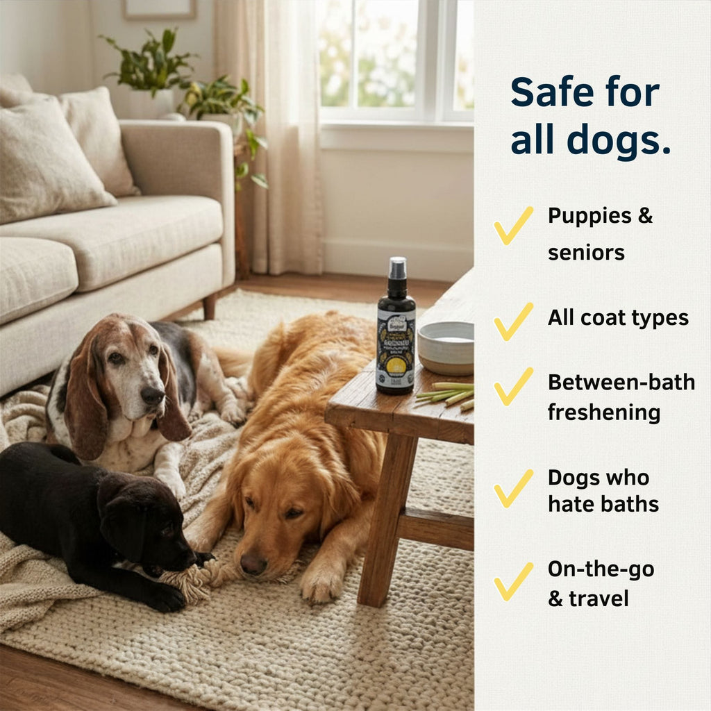 Dog Deodorizing Spray product image 8