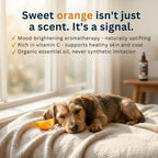 Dog Deodorizing Spray product image 4
