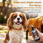 Dog Deodorizing Spray product image 7