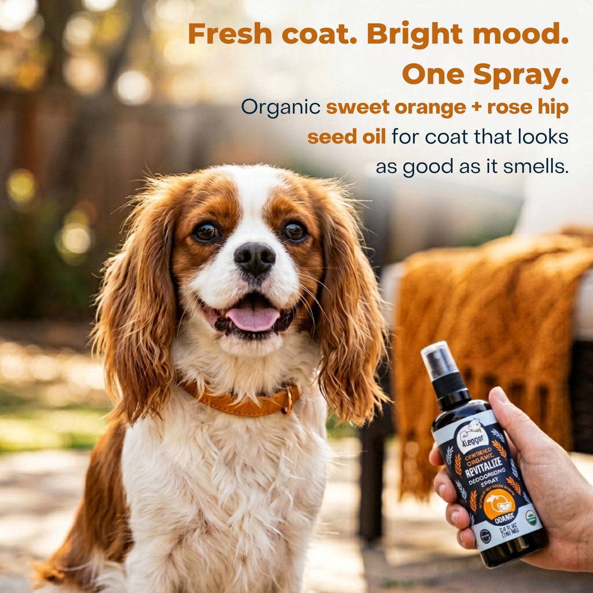 Dog Deodorizing Spray product image 7