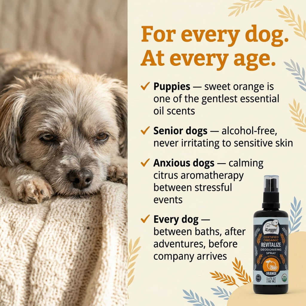 Dog Deodorizing Spray product image 8