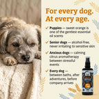 Dog Deodorizing Spray product image 8