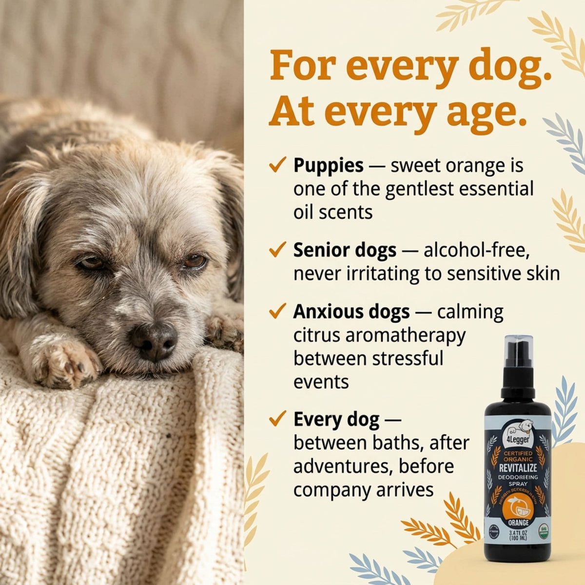 Dog Deodorizing Spray product image 8