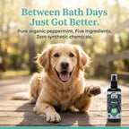 Dog Deodorizing Spray product image 2