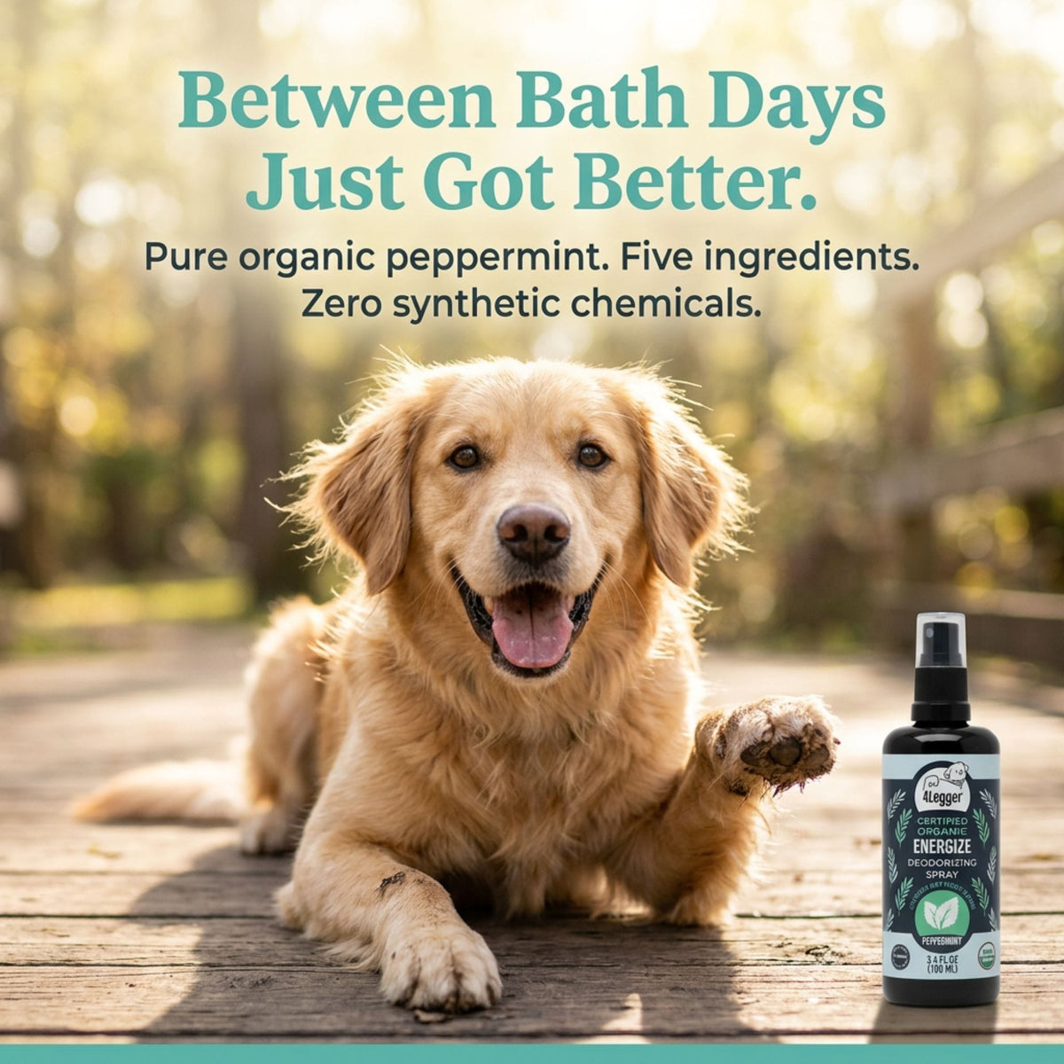Dog Deodorizing Spray product image 2