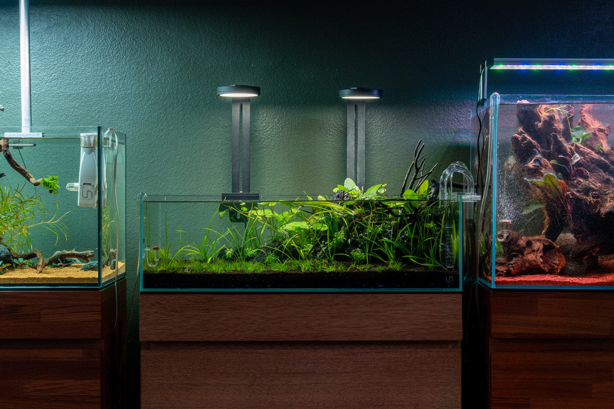 Rimless Aquarium product image 2