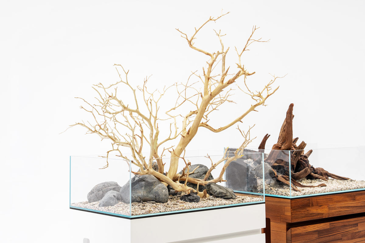 Rimless Aquarium product image 6