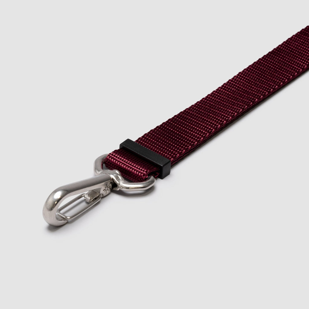 Adjustable Hands-Free Dog Leash product image 7