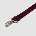 Adjustable Hands-Free Dog Leash product image 7