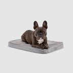 A French Bulldog laying on a Snooz pad pictured from the front on a white background.