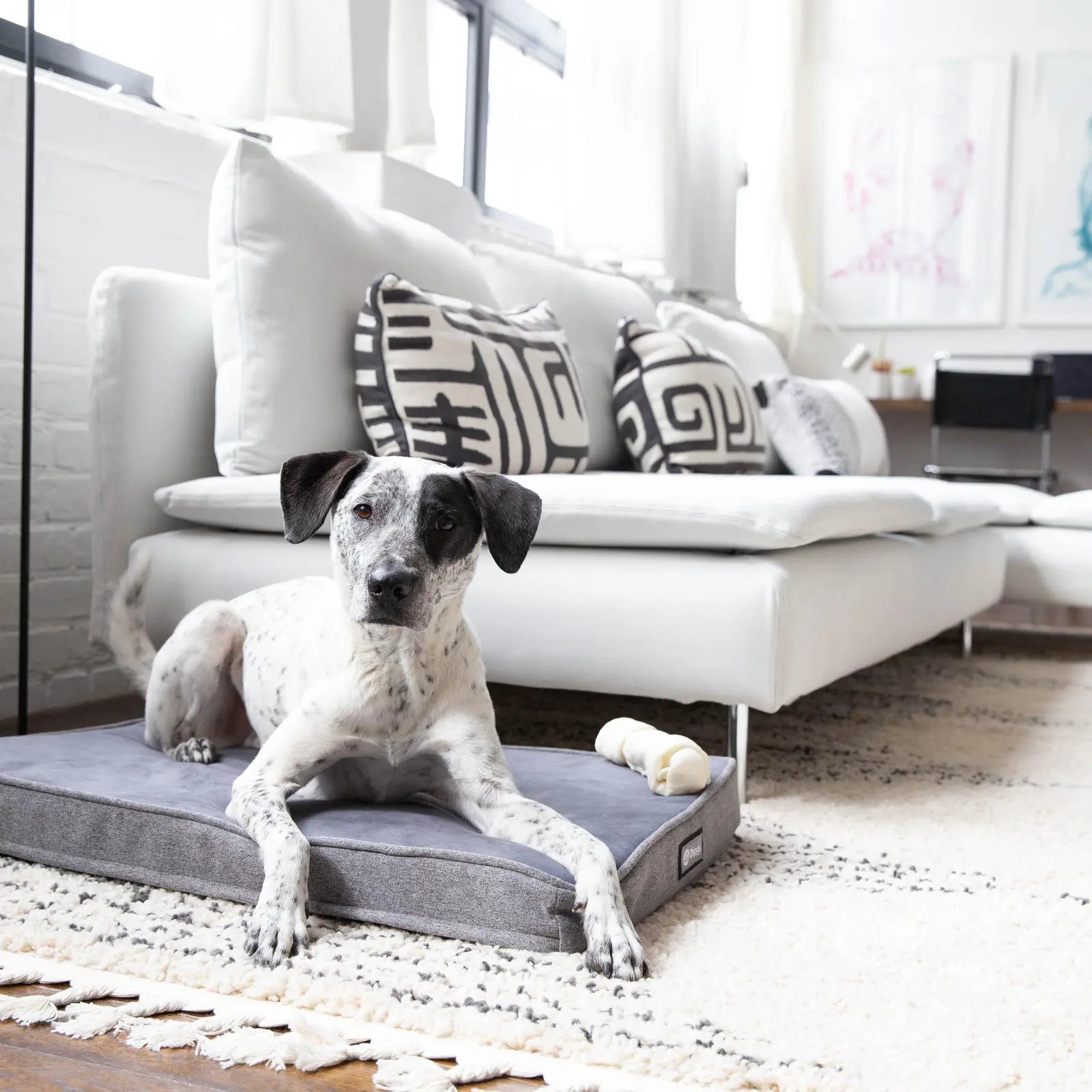 Orthopedic Dog Crate Pad product image 13