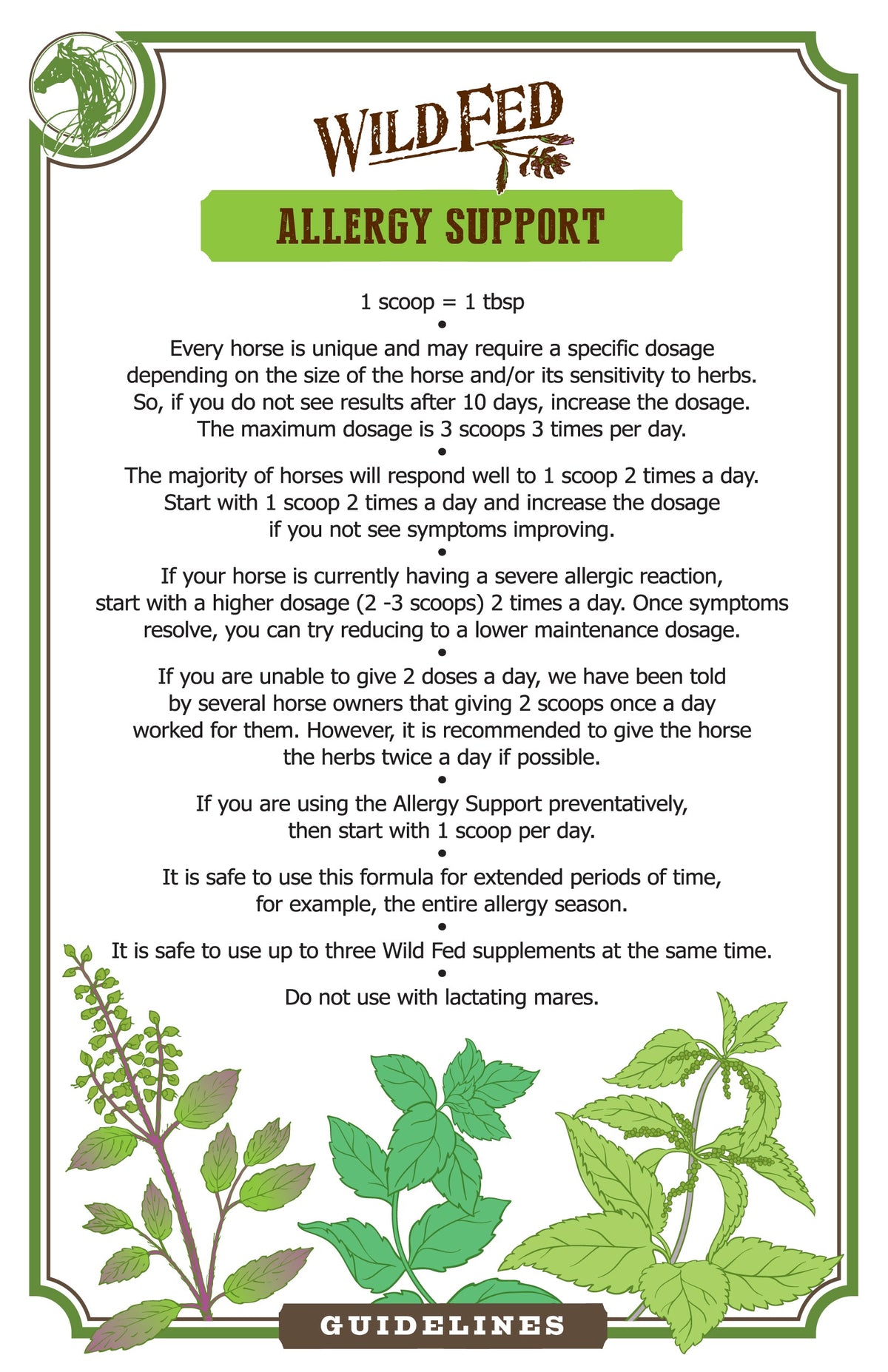 Horse Herbal Supplement product image 4