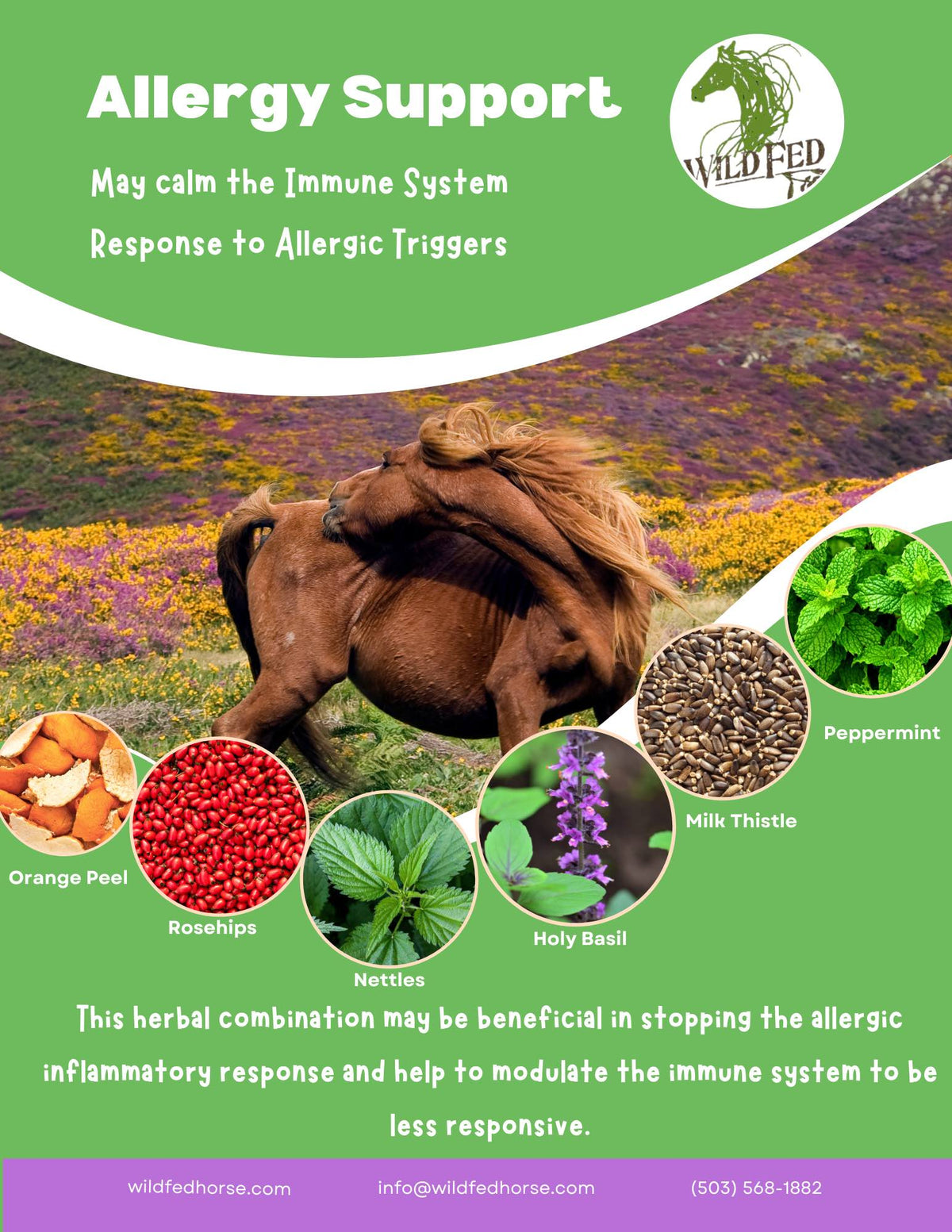Horse Herbal Supplement product image 5