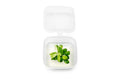 Live Aquarium Plant product image 1