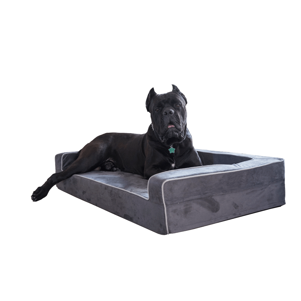Orthopedic 3 Sided Bolster Bed Bullybeds.com