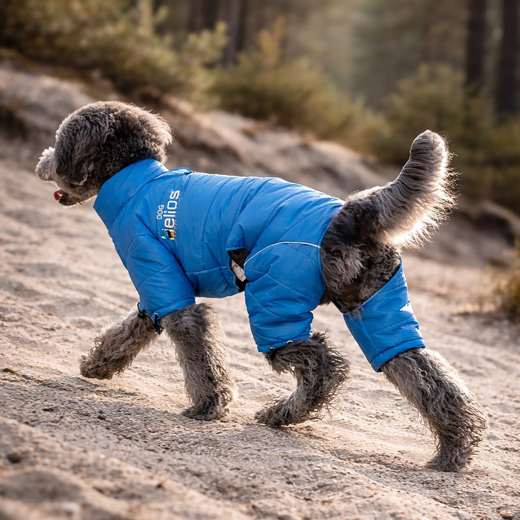 Winter Dog Jacket product image 6