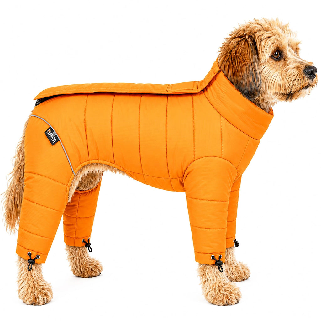 Winter Dog Jacket product image 15