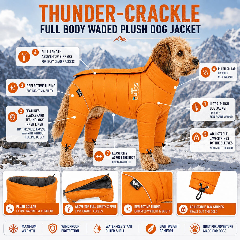 Winter Dog Jacket product image 16