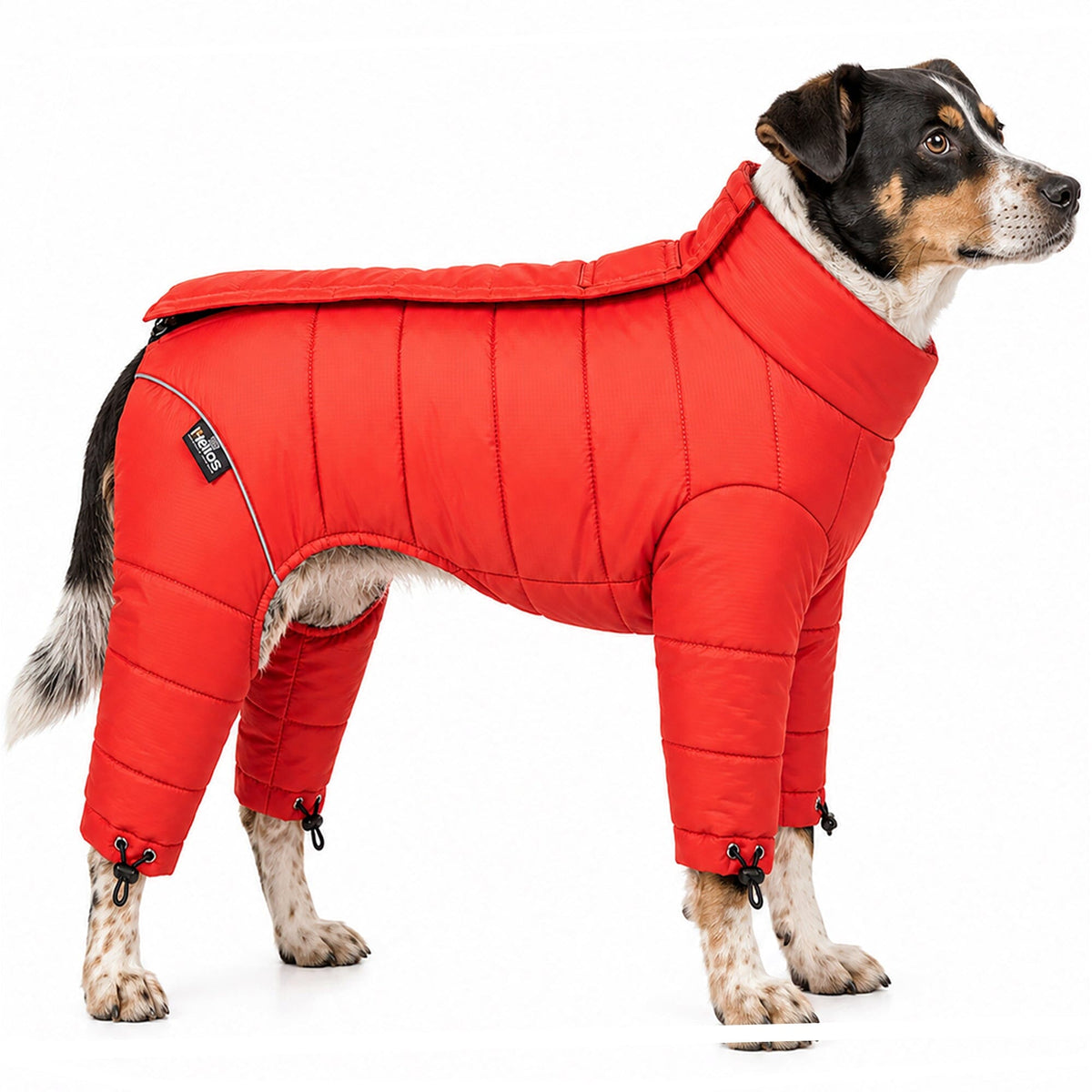 Winter Dog Jacket product image 20