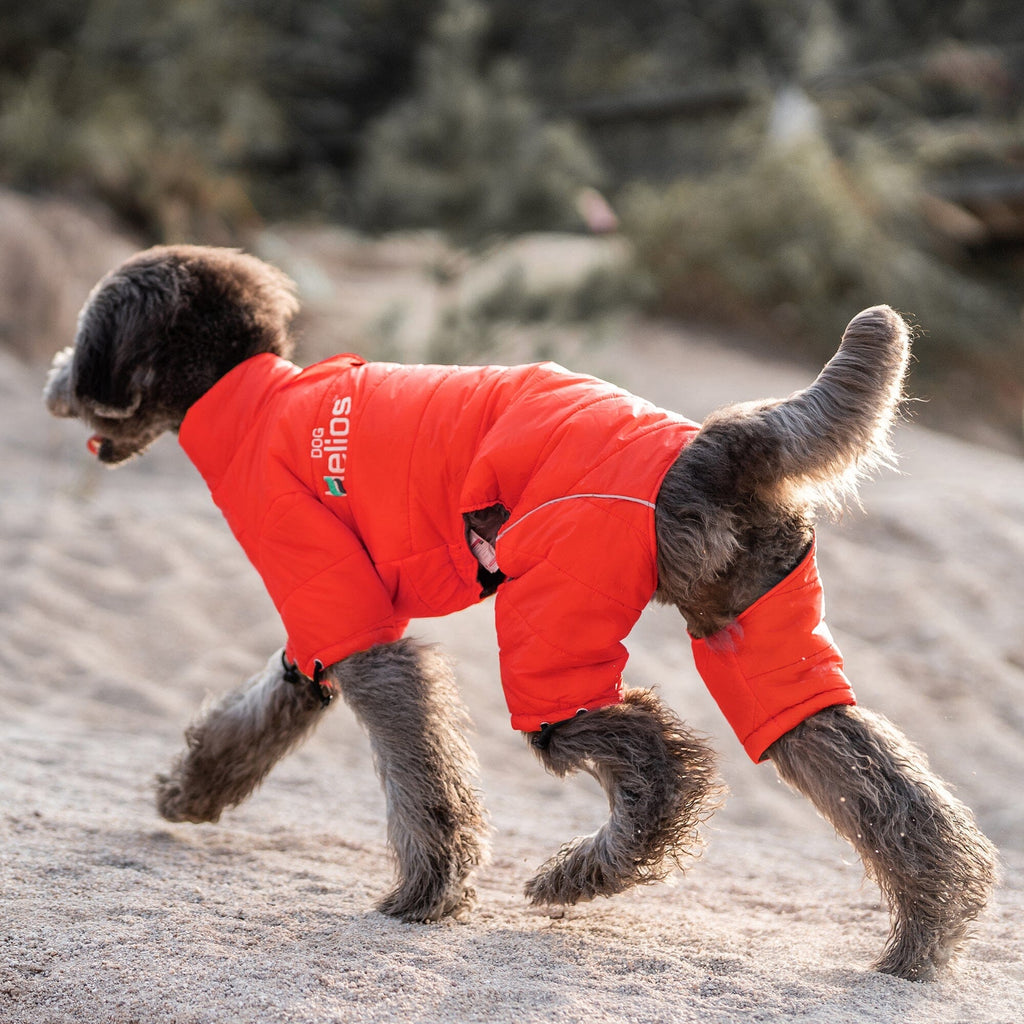 Winter Dog Jacket product image 24