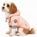 Hooded Dog Sweater product image 3
