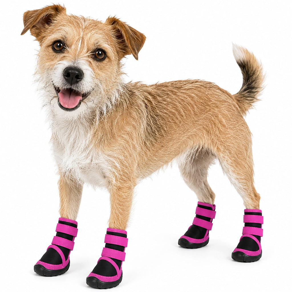 Dog Shoes product image 4