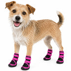 Dog Shoes product image 4
