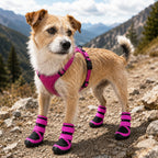 Dog Shoes product image 5