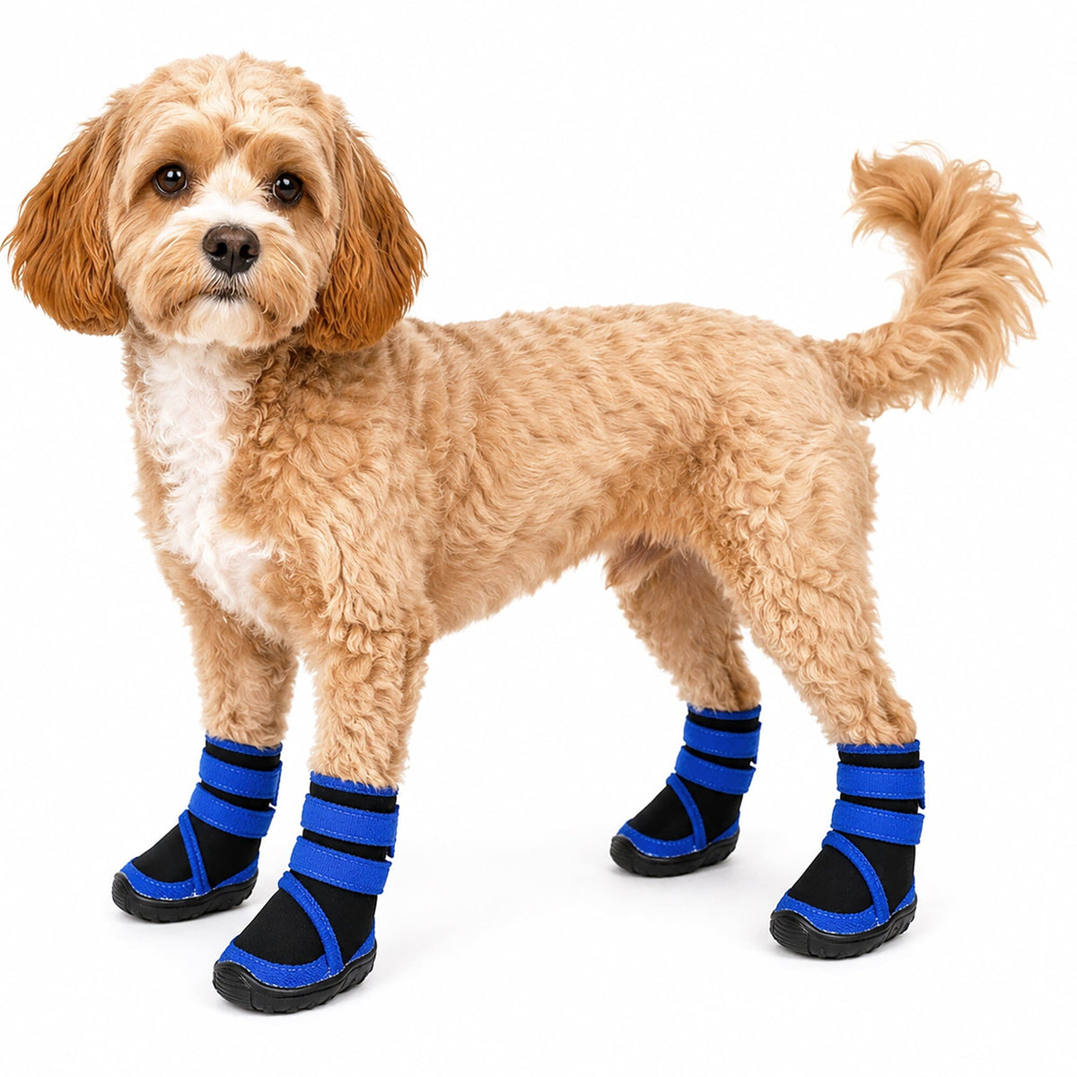 Dog Shoes product image 10