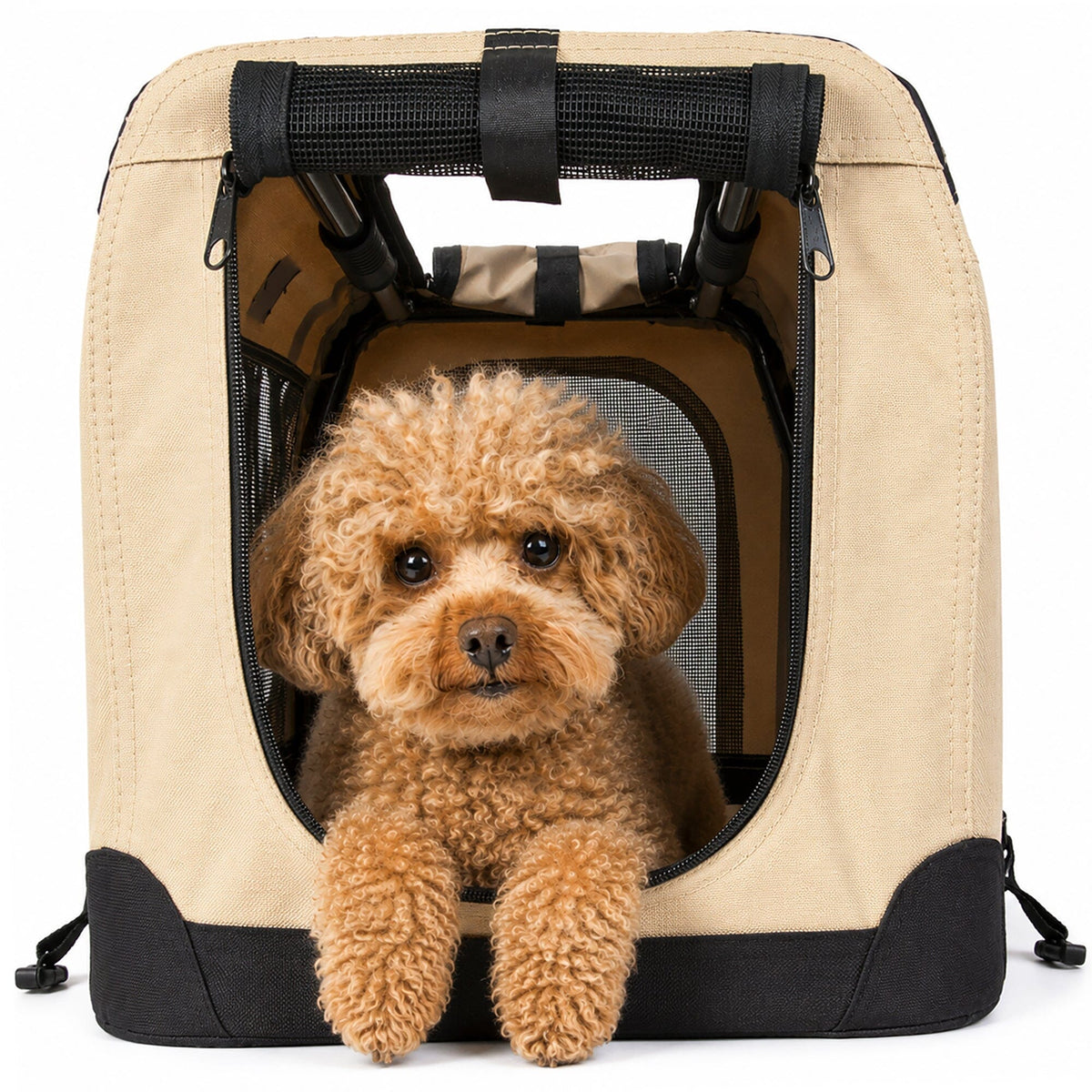 Soft-Sided Dog Crate product image 3